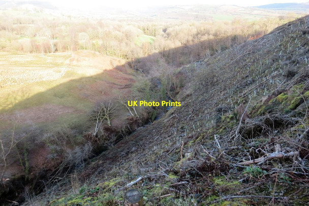 Photo 6"x4" Uwchben Nant Bargod \/ Above Nant Bargod Rhandirmwyn c2022