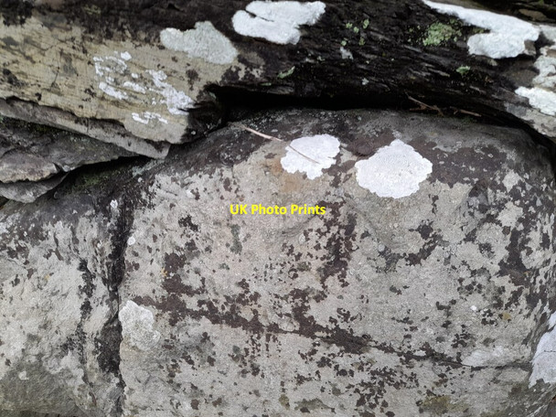 Photo 6"x4" Ordnance Survey Rivet Kirkby-in-Furness c2022