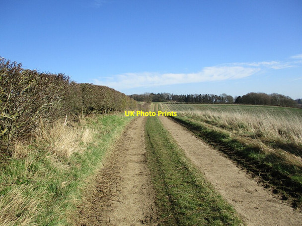 Photo 6"x4" Bridleway to Gunthorpe Gunthorpe\/SK8605 c2022