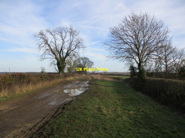 Photo 6"x4" America Lane Brooke\/SK8405 c2022