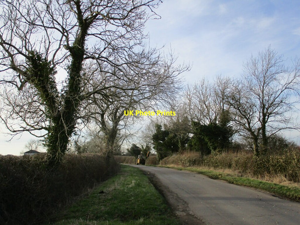 Photo 6"x4" Hedge trimming, Braunston Lane Braunston-in-Rutland c2022