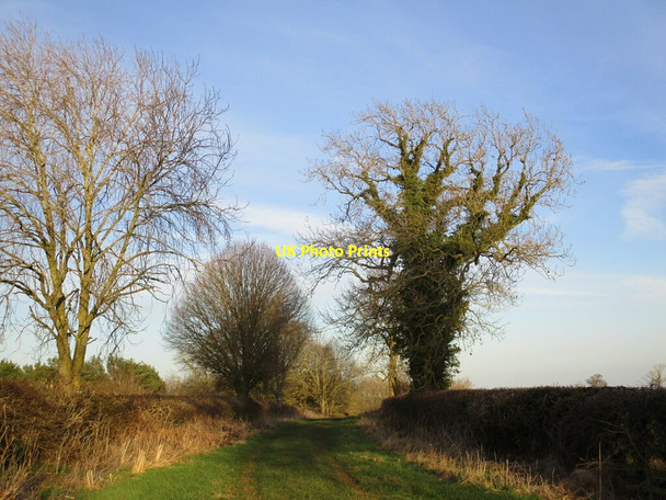 Photo 6"x4" Bridleway to Egleton Brooke\/SK8405 c2022