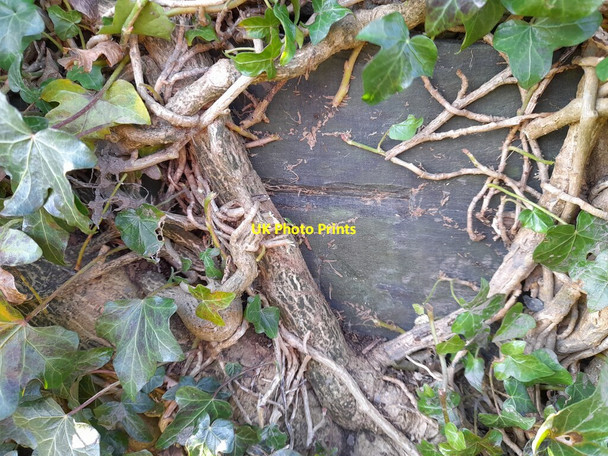 Photo 6"x4" Ordnance Survey Cut Mark Beanthwaite c2022