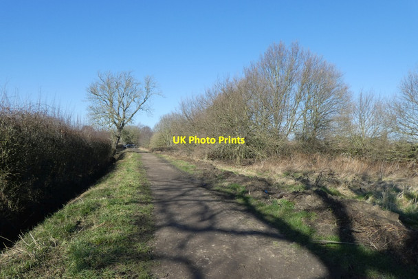 Photo 6"x4" Path in the Outgang Fulford\/SE6149 c2022