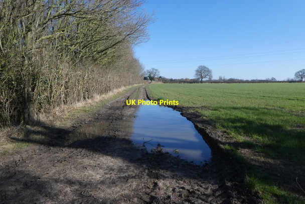 Photo 6"x4" Flooded track Heslington c2022