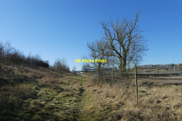 Photo 6"x4" Path on Heslington East Grimston\/SE6451 c2022