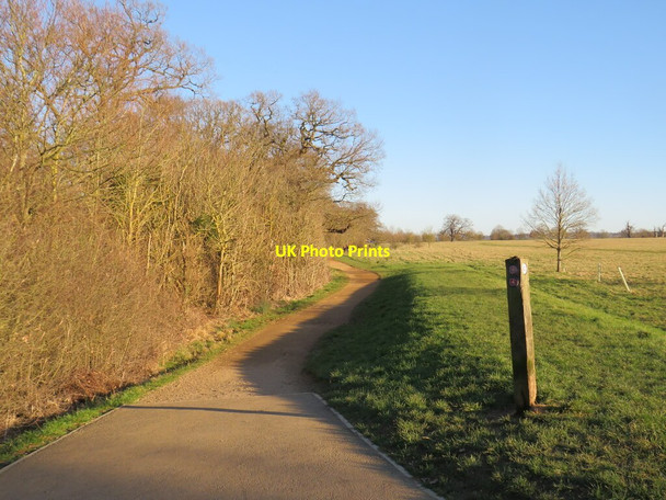 Photo 6"x4" Path in Windsor Great Park Windsor\/SU9676 c2022