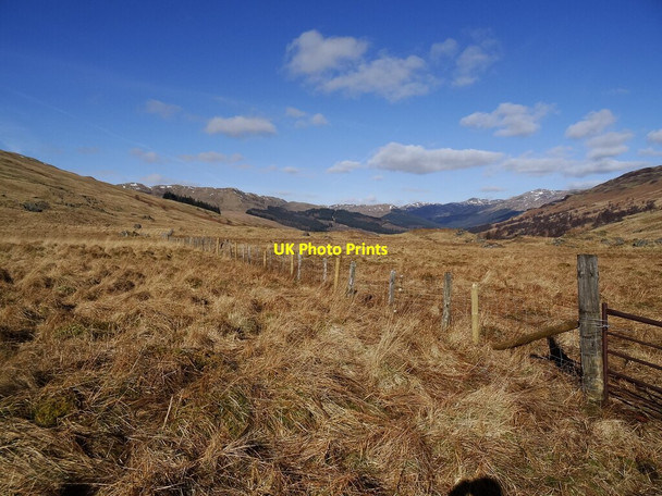 Photo 6"x4" Fence line in Glen Buckie Strathyre\/NN5617 c2022