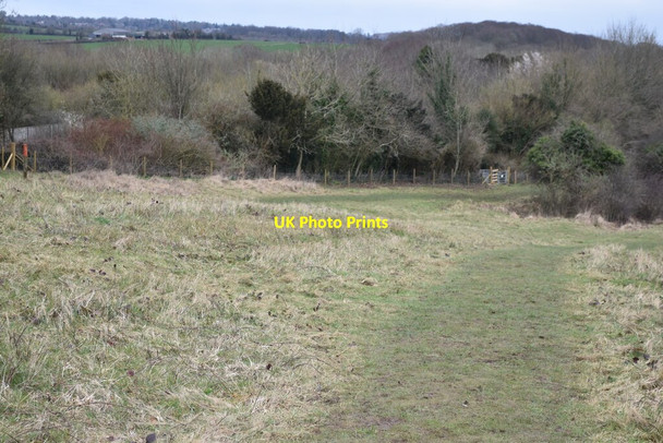 Photo 6"x4" Northwest edge of Shawford Down Compton\/SU4625 c2022