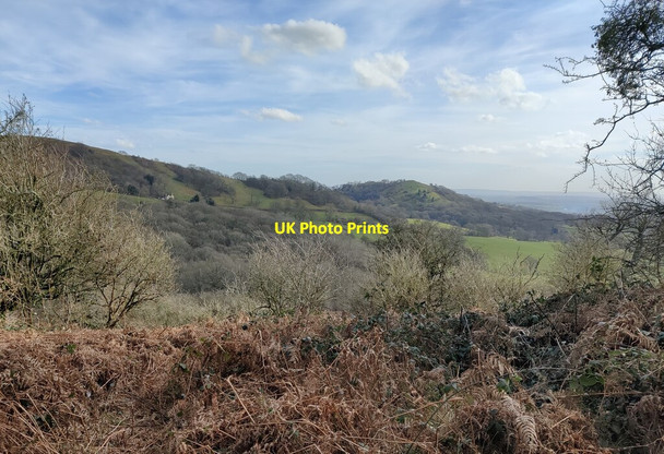 Photo 6"x4" Southern end of the Malvern Hills Hollybush\/SO7636 c2022