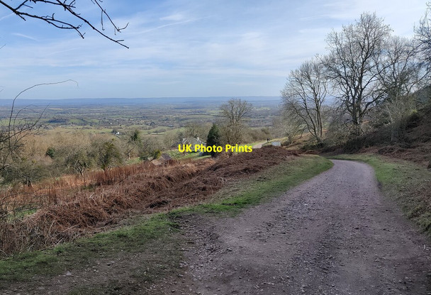 Photo 6"x4" Path descending Swinyard Hill Chandler's Cross\/SO7738 c2022