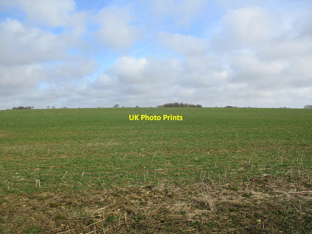 Photo 6"x4" Autumn sown crop near Claxby Pluckacre Moorby c2022