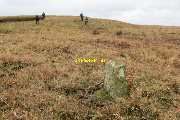 Photo 6"x4" Rhan o res gerrig \/ Part of a stone row Wern\/SO1117 c2022