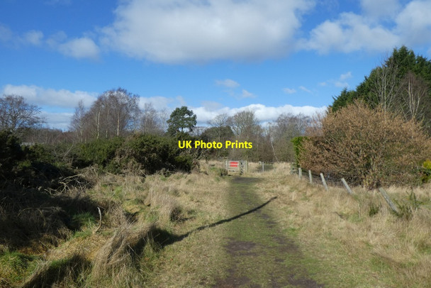 Photo 6"x4" Boundary fence and gate Strensall c2022