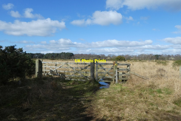 Photo 6"x4" Path and gates on Towthorpe Common Towthorpe\/SE6358 c2022
