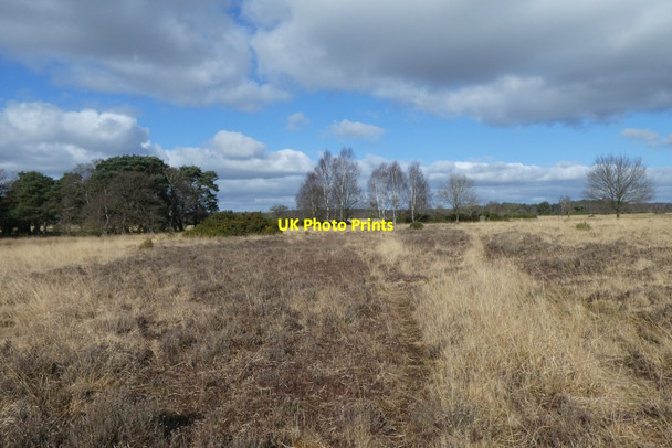 Photo 6"x4" Military training area Strensall c2022
