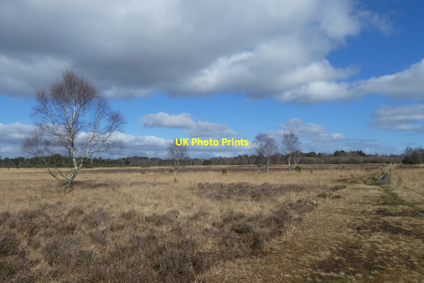 Photo 6"x4" Track over the common Strensall c2022