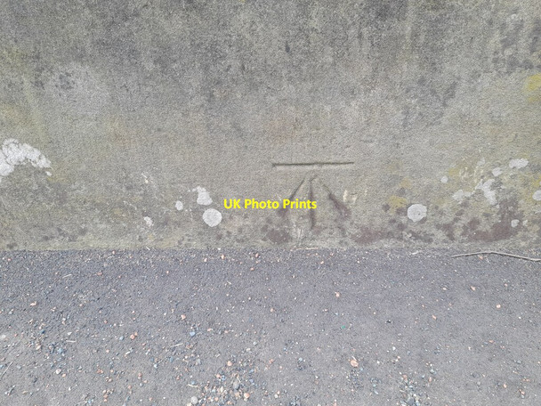 Photo 6"x4" Ordnance Survey Cut Mark Bryn Mawr\/SJ2518 c2022