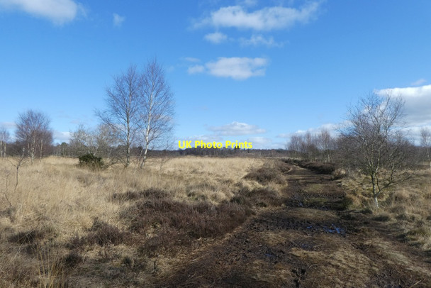 Photo 6"x4" Track over Strensall Common Strensall c2022