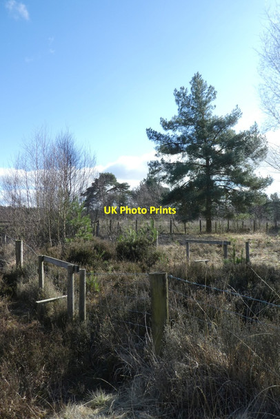Photo 6"x4" Double stile on Strensall Common Moor End\/SE6656 c2022