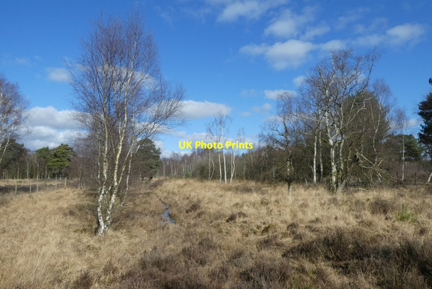 Photo 6"x4" North of the stiles Moor End\/SE6656 c2022