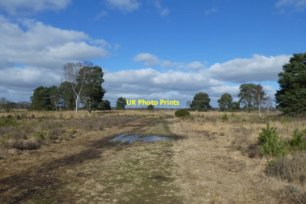 Photo 6"x4" Track over the common Strensall c2022