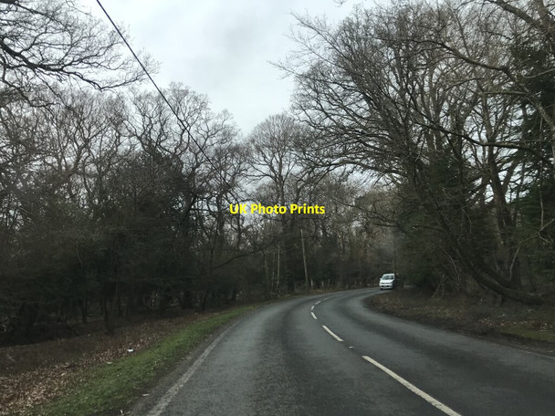 Photo 6"x4" On B3058 Ossemsley c2022