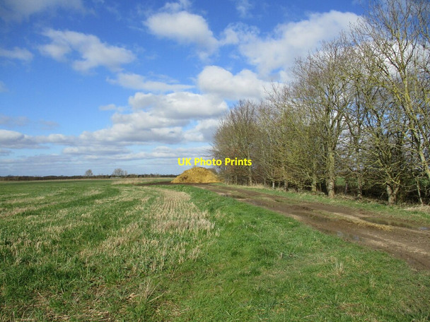 Photo 6"x4" Bridleway towards Carlton le Moorland Brant Broughton c2022