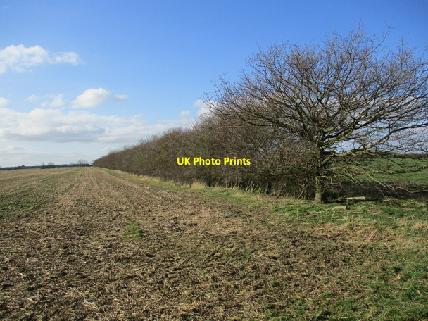 Photo 6"x4" Well established hedge Brant Broughton c2022