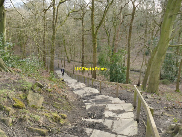 Photo 6"x4" Northcliffe Park: steps down to Northcliffe Dike Shipley\/SE1437 c2022