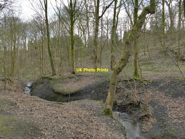 Photo 6"x4" Northcliffe Park: meandering dike Shipley\/SE1437 c2022