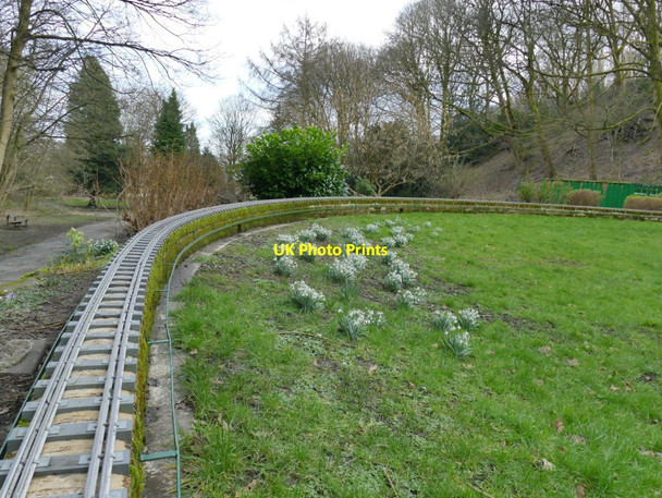 Photo 6"x4" Northcliffe Park: miniature railway with snowdrops Shipley\/SE1437 c2022