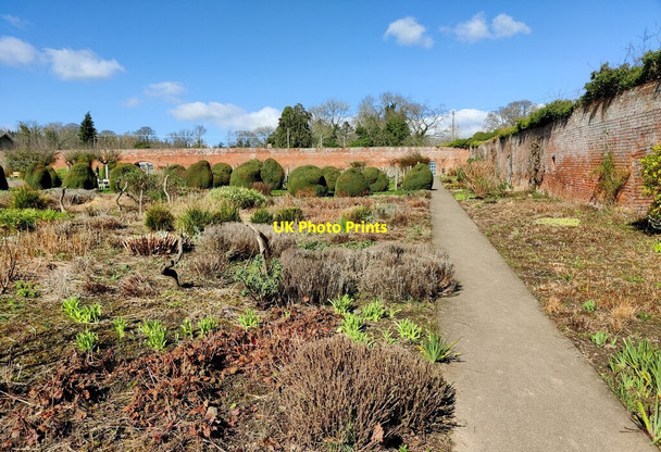 Photo 6"x4" Walled garden at Croft Castle Croft\/SO4565 c2022