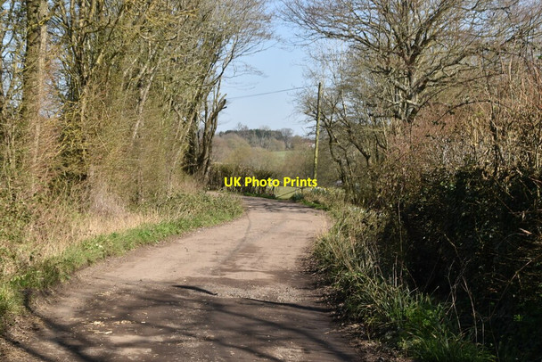 Photo 6"x4" Marsh Quarter Lane Linkhill c2021