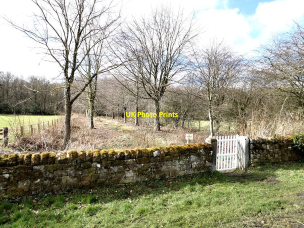 Photo 6"x4" Path on the Capheaton Estate Capheaton c2022