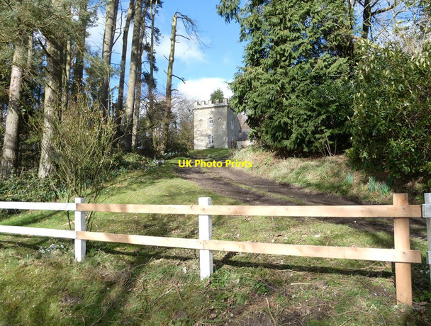Photo 6"x4" The Dovecote Capheaton c2022