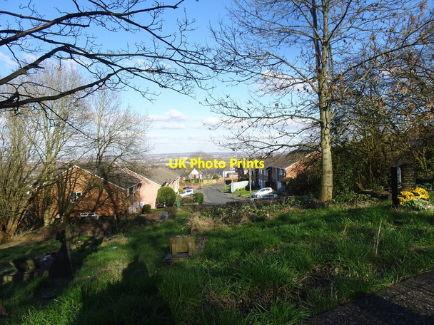 Photo 6"x4" Alton Grove Dudley\/SO9390 c2022