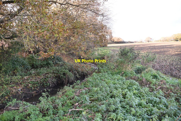 Photo 6"x4" Small stream Loughton\/TQ4396 c2021