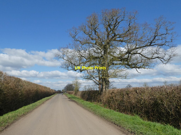 Photo 6"x4" Minor road to Lovington North Barrow c2022