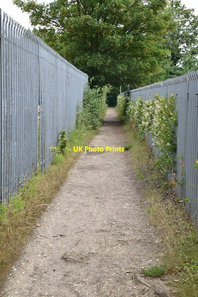 Photo 6"x4" Fenced footpath Royston\/TL3541 c2021