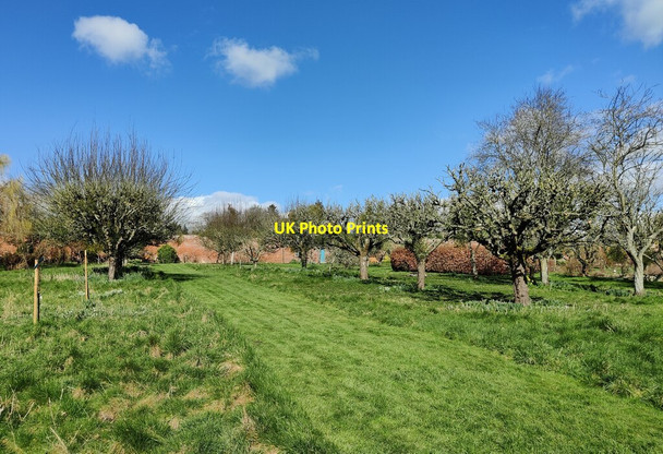 Photo 6"x4" Walled garden at Croft Castle Croft\/SO4565 c2022