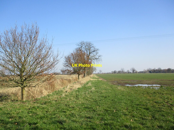 Photo 6"x4" Field edge off Revesby Bank Revesby Bridge c2022