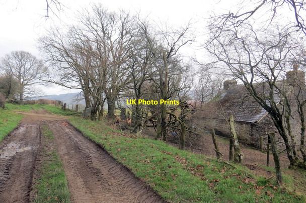 Photo 6"x4" Heol las Gwerddon \/ Green lane at Gwerddon Pentre-ty-gwyn c2022