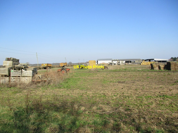 Photo 6"x4" Appleyard Farm, Reedham Reedham\/TF2456 c2022