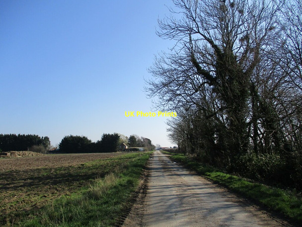 Photo 6"x4" Reedham Lane Reedham\/TF2456 c2022
