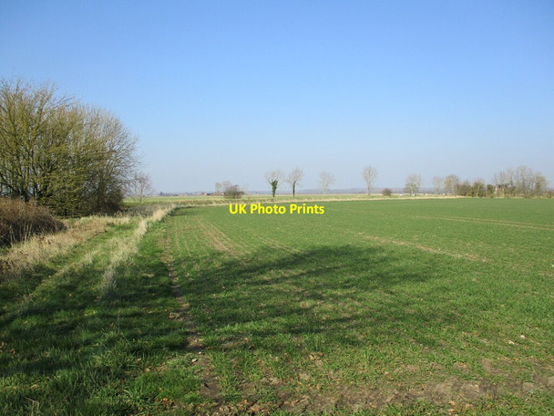 Photo 6"x4" Autumn sown crop, Moorhouses Moorhouses\/TF2756 c2022