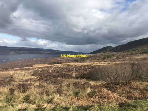 Photo 6"x4" View of the Firth Ardvannie c2022