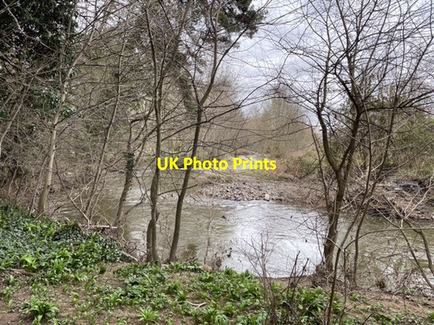 Photo 6"x4" Rea Brook, Shrewsbury Shrewsbury c2022