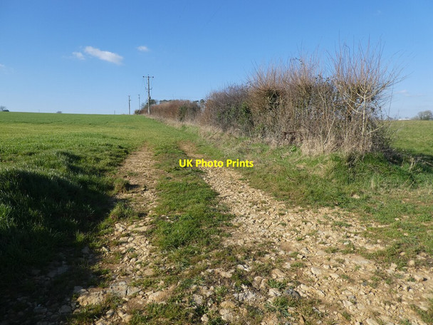 Photo 6"x4" Farm track, north of Caryedge Lane Welham\/ST6631 c2022