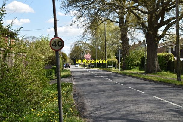 Photo 6"x4" Lingfield Common Rd Lingfield Common c2021